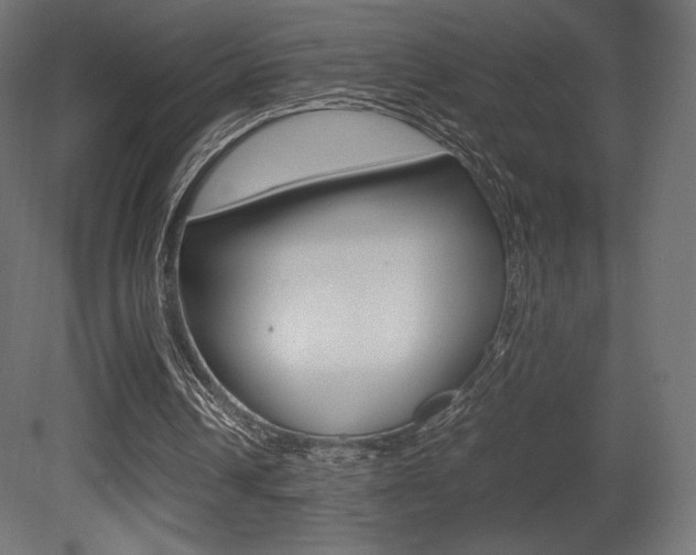 X0000081450242200701121022