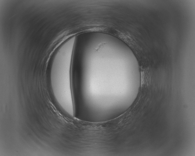 X0000081450243200701121022