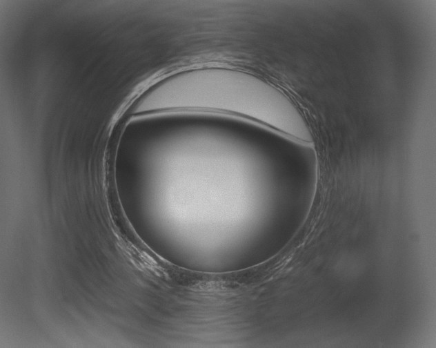 X0000081450244200701121022