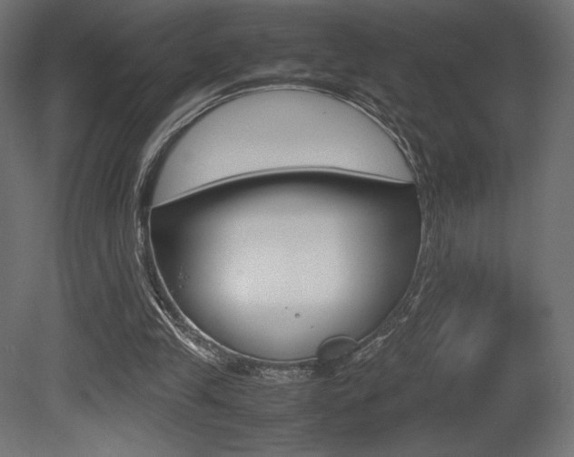 X0000081450245200701121022