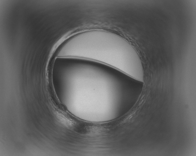 X0000081450246200701121022