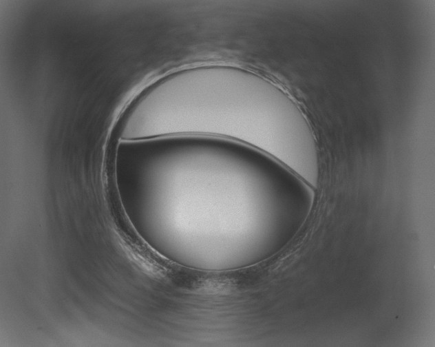 X0000081450248200701121022