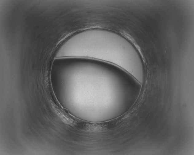 X0000081450249200701121022