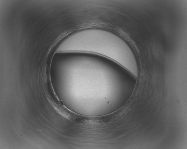 X0000081450250200701121022