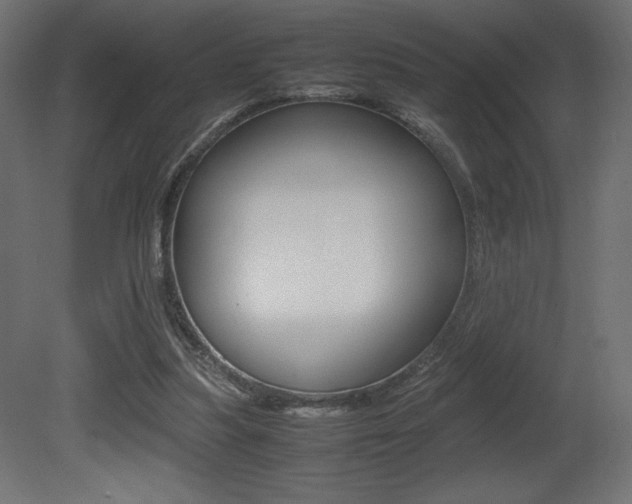 X0000081450251200701121022