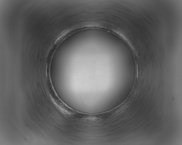 X0000081450253200701121022