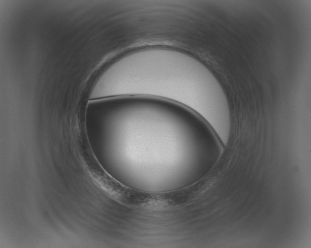 X0000081450256200701121022