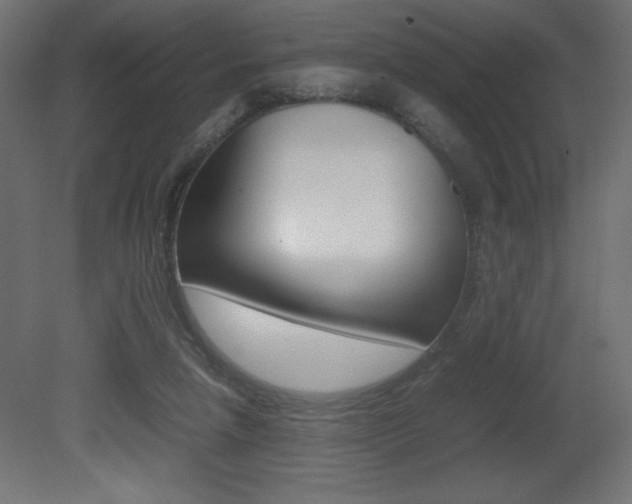 X0000081450258200701121022