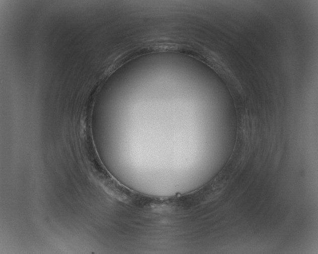 X0000081450259200701121022