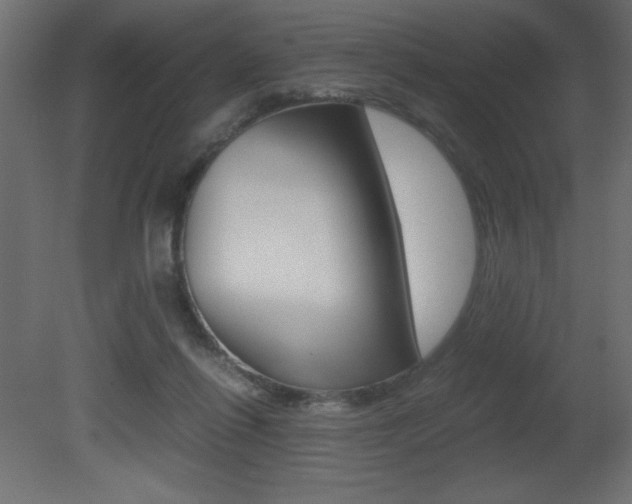 X0000081450262200701121022