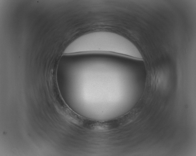 X0000081450263200701121022