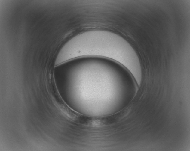 X0000081450264200701121022