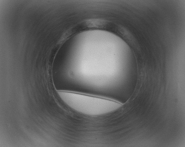 X0000081450265200701121022
