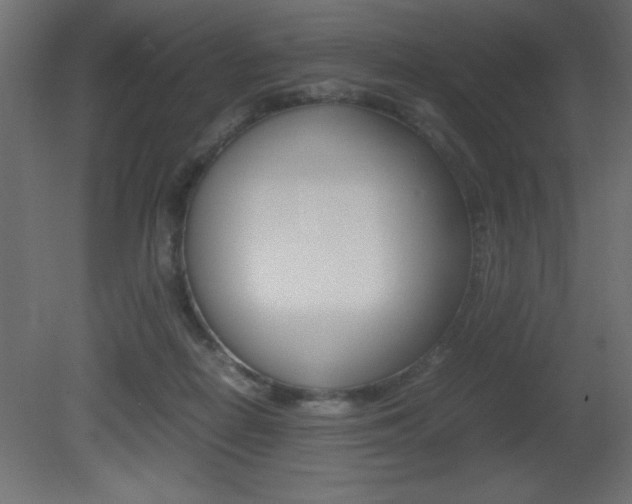 X0000081450266200701121022