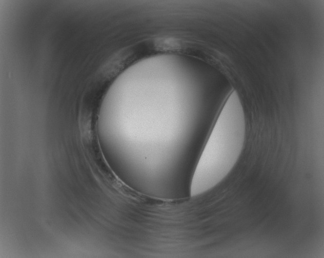 X0000081450267200701121022