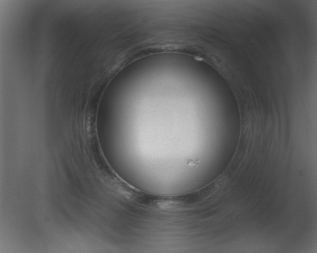 X0000081450268200701121022