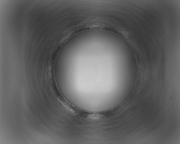 X0000081450269200701121022