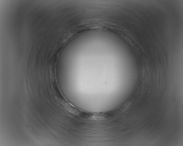 X0000081450270200701121023