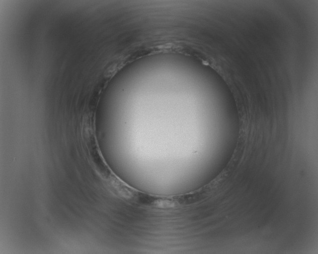 X0000081450272200701121023