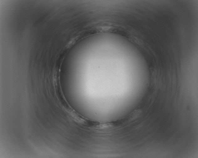 X0000081450274200701121023