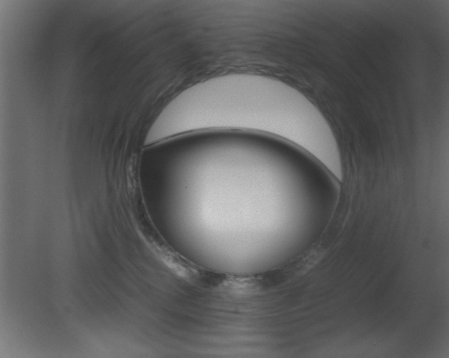 X0000081450280200701121023