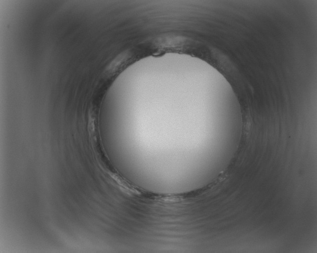 X0000081450282200701121023