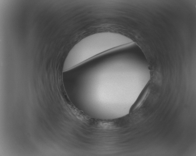 X0000081450283200701121023
