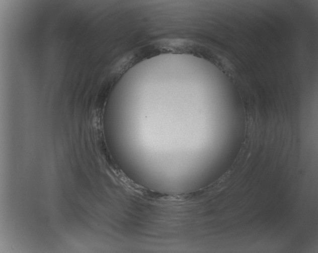 X0000081450284200701121023