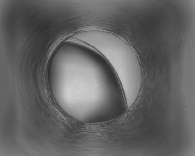 X0000081450289200701121022