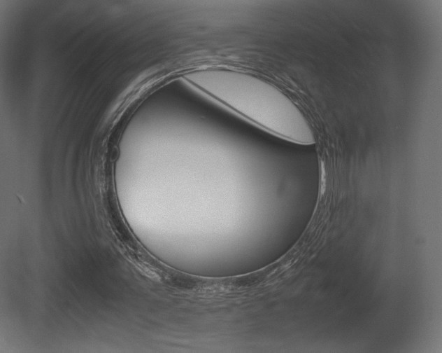 X0000081450291200701121022