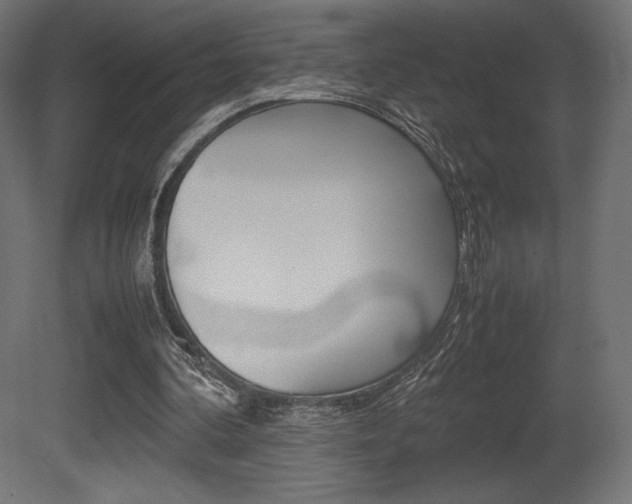 X0000081450292200701121022
