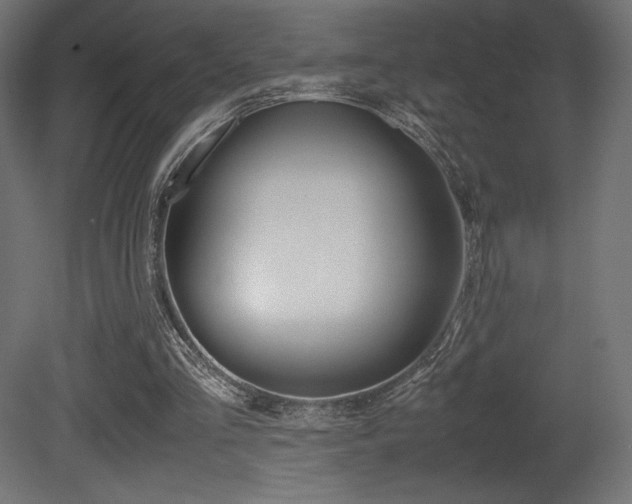 X0000081450293200701121022