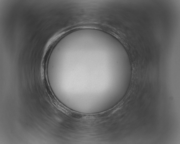 X0000081450294200701121022