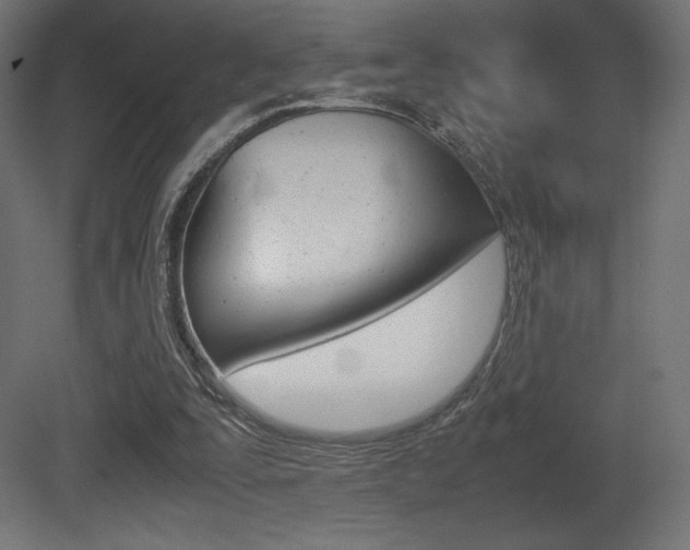 X0000081450295200701121022