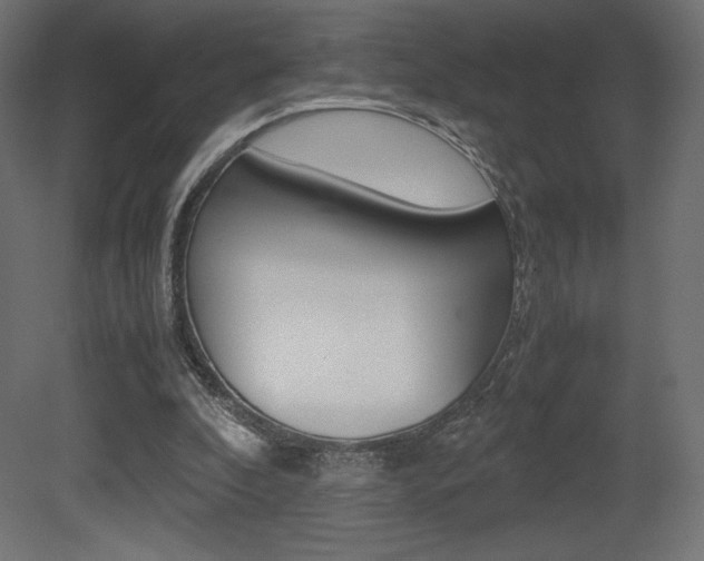 X0000081450296200701121022