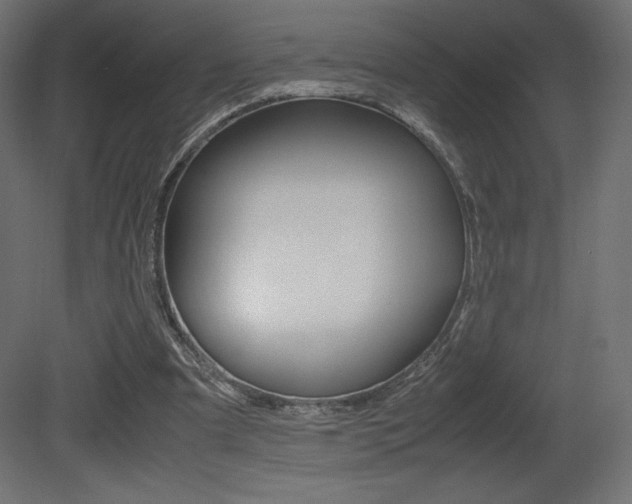 X0000081450297200701121022