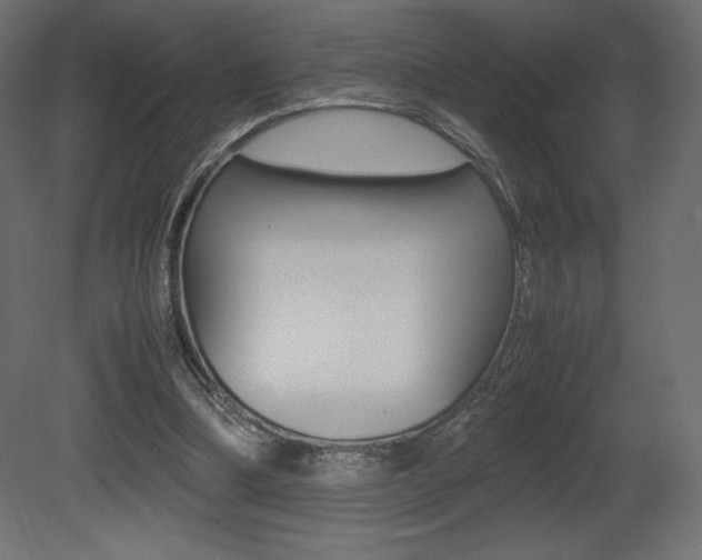 X0000081450298200701121022
