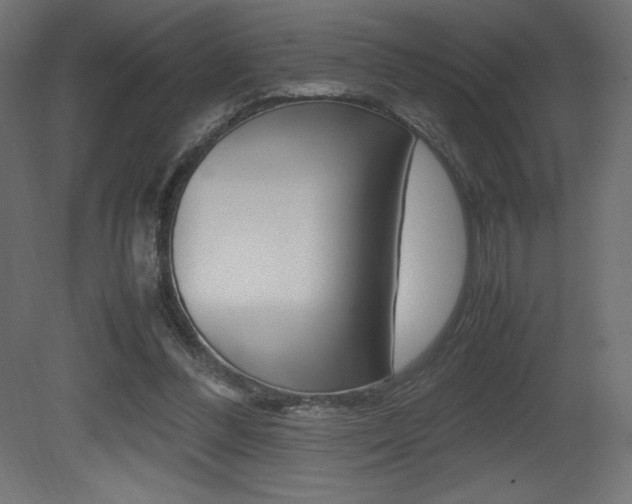 X0000081450300200701121022