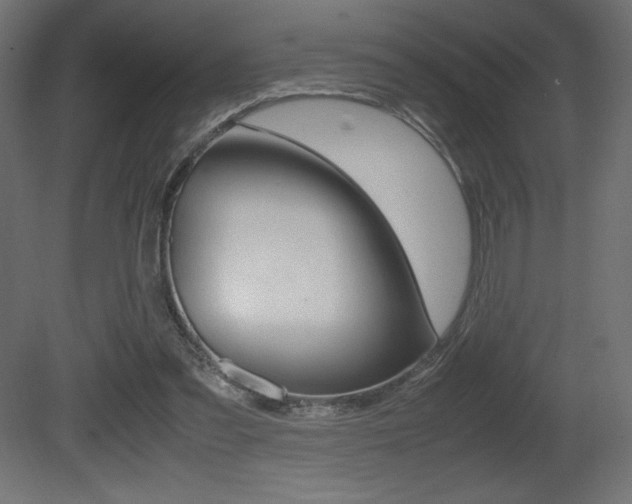 X0000081450301200701121022