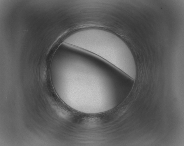 X0000081450304200701121022