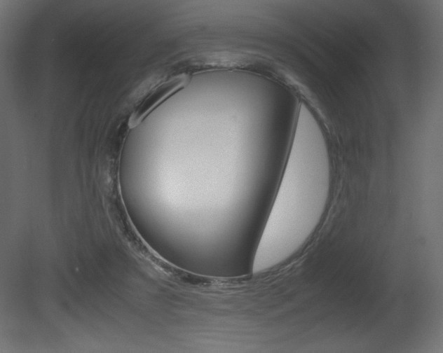 X0000081450305200701121022