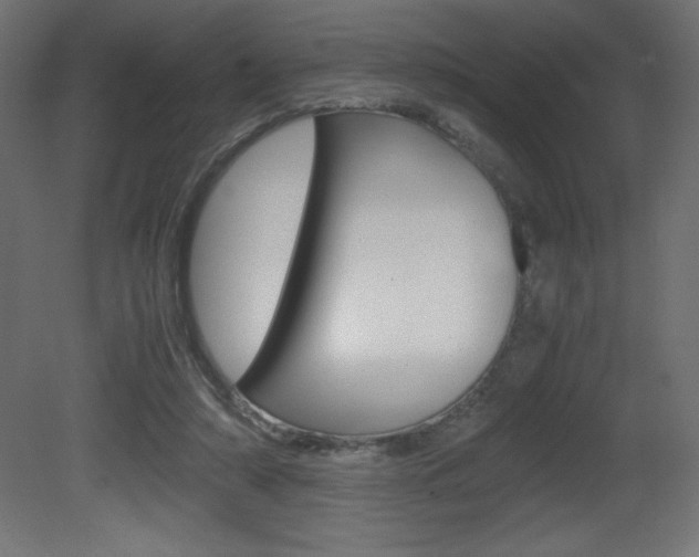 X0000081450306200701121022