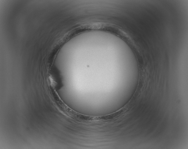 X0000081450307200701121022