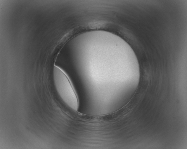 X0000081450308200701121022