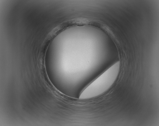 X0000081450309200701121022
