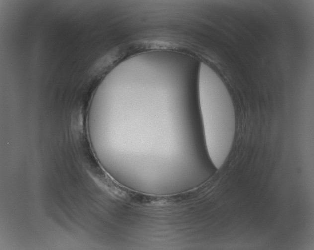X0000081450310200701121022
