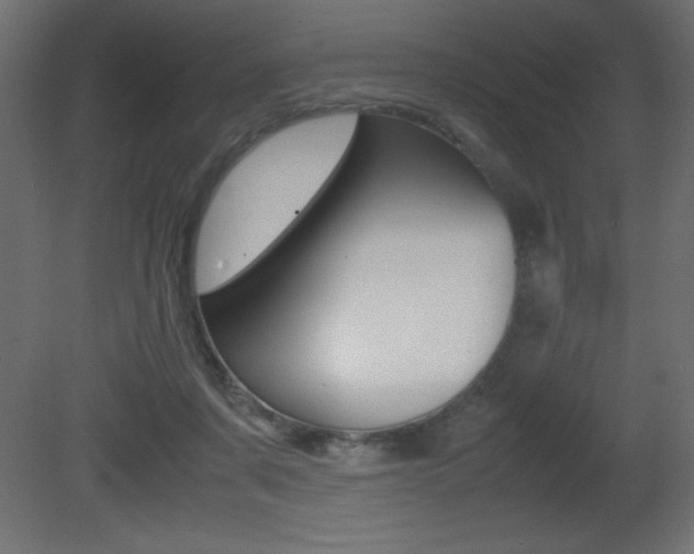 X0000081450311200701121022