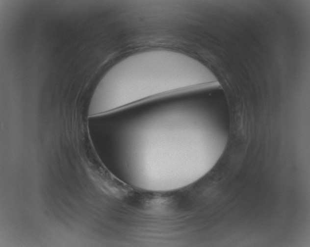 X0000081450312200701121022