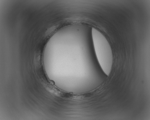 X0000081450314200701121022