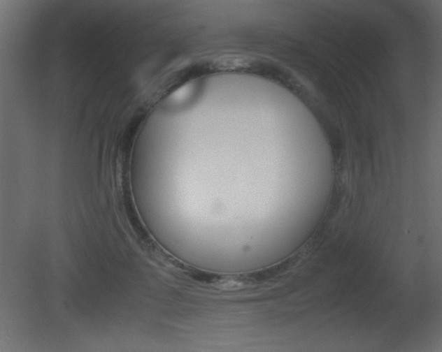X0000081450315200701121022